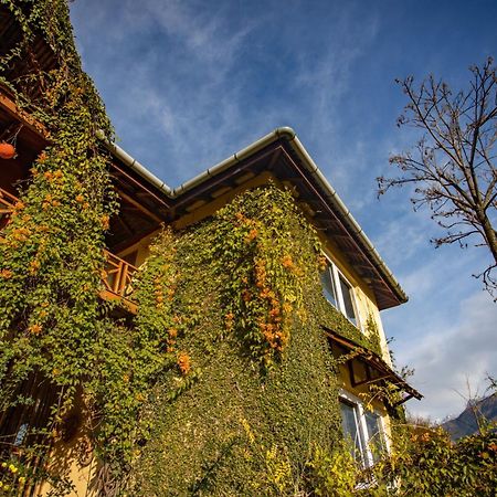 Seclude Palampur Hotel Exterior photo