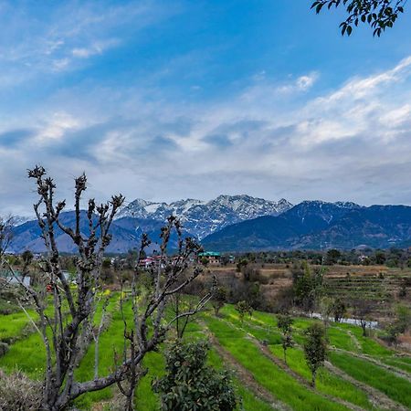 Seclude Palampur Hotel Exterior photo