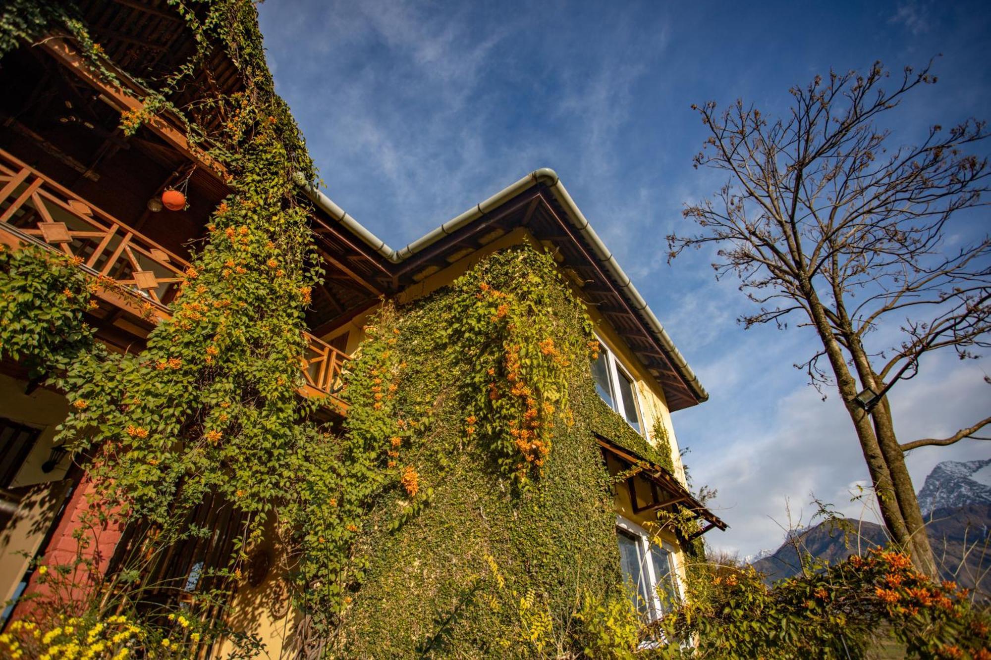 Seclude Palampur Hotel Exterior photo