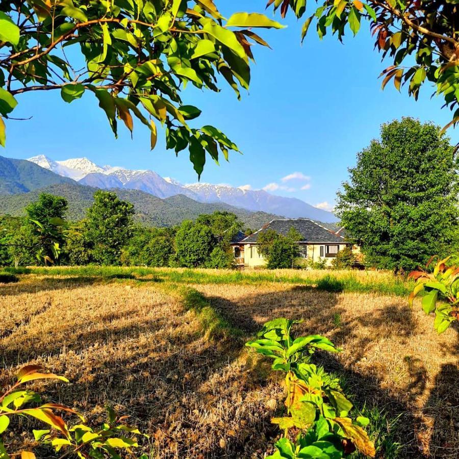 Seclude Palampur Hotel Exterior photo